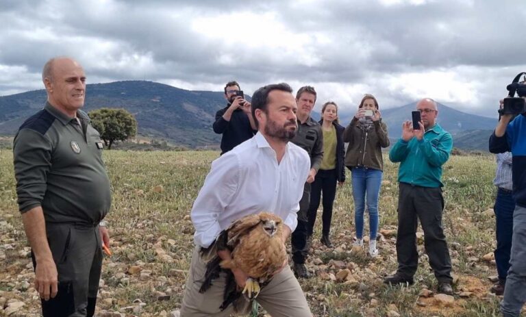 CLM clave para la conservación del águila imperial ibérica ENCLM