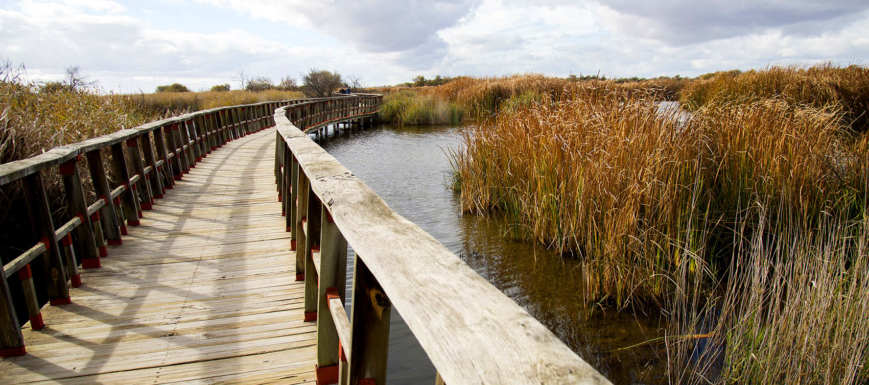 Tablas de Daimiel.