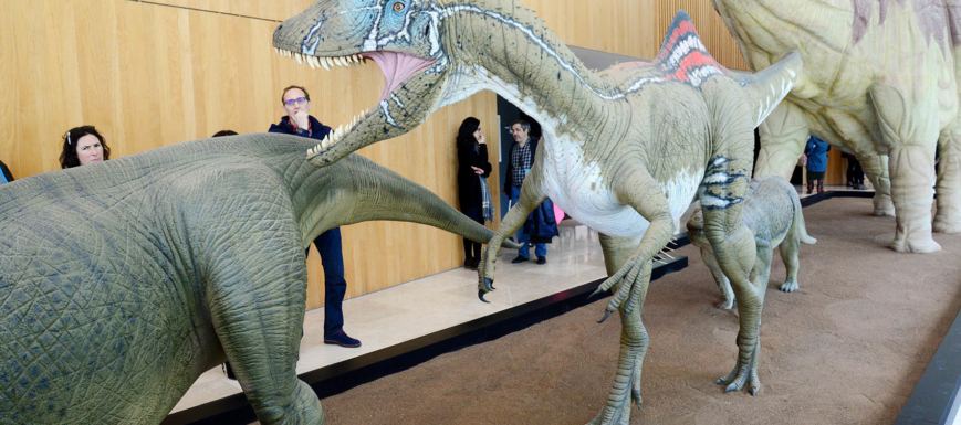 Pepito, el "Concavenator Corcovatus" en el Museo de la Paleontología de Cuenca.