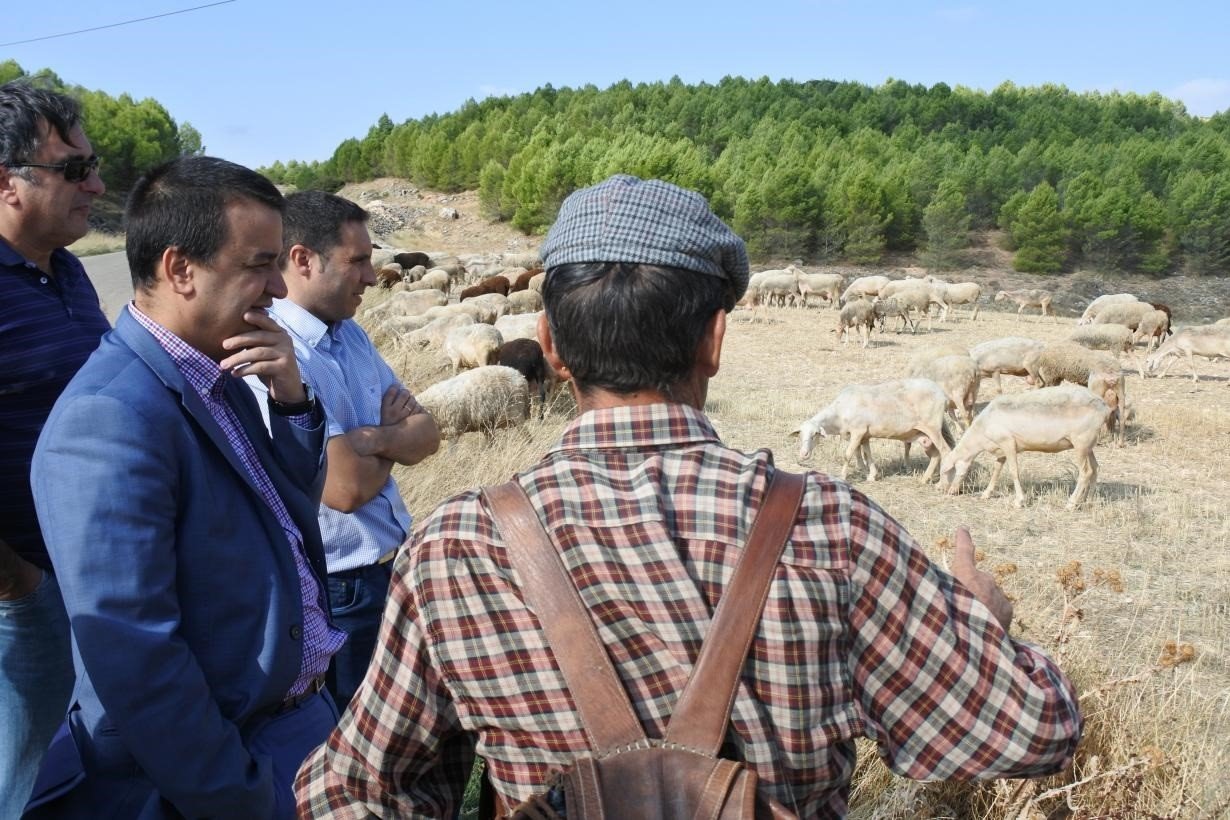 El consejero de Agricultura, Agua y Desarrollo Rural, Francisco Martínez Arroyo, conociendo el trabajo de un ganadero de extensivo.