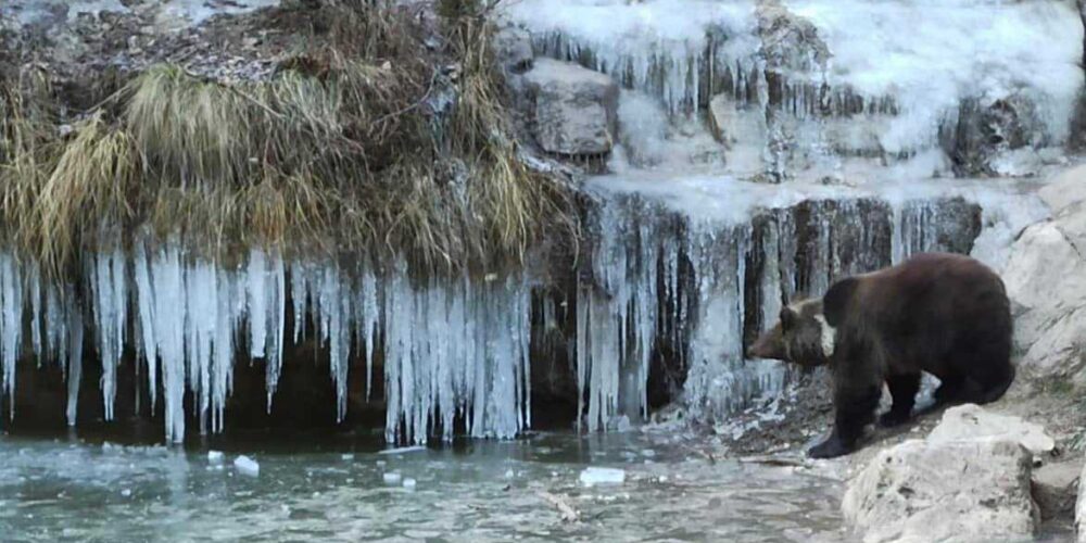 Parque Cinegético El Hosquillo, en la Serranía de Cuenca. Foto: Miguel Ángel Verona San Juan.