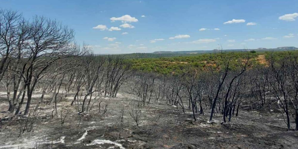 Incendio de Humanes (Guadalajara).