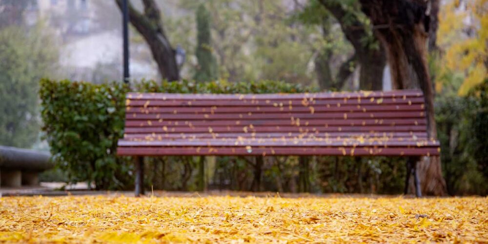 El otoño llega a CLM más "cálido y húmedo" de lo habitual. Foto: Rebeca Arango.