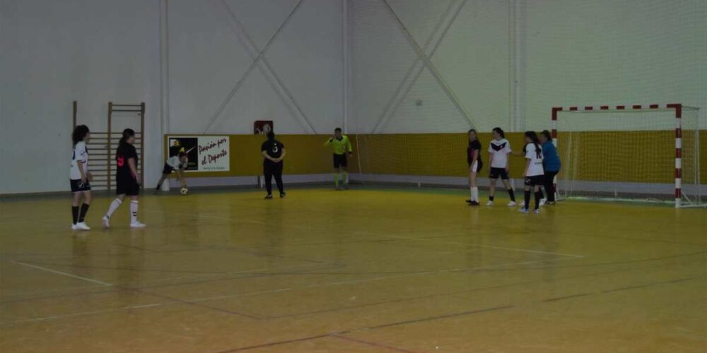 La insistencia de la jugadora del Porzuna Susana Jiménez (foto de un partido de este equipo) terminó en la suspensión de la jornada. Foto: Porzuna FSF.