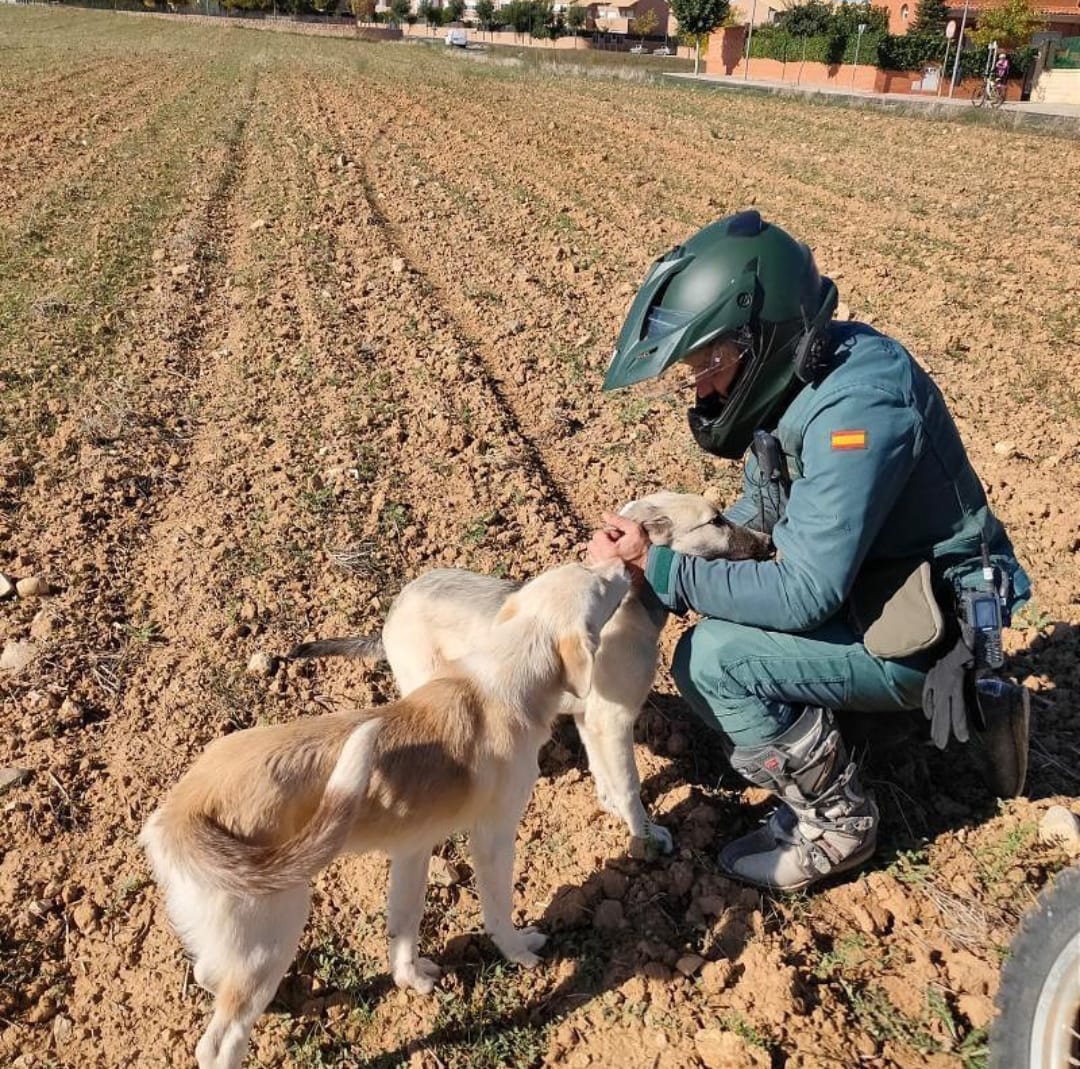 SEPRONA Guardia Civil