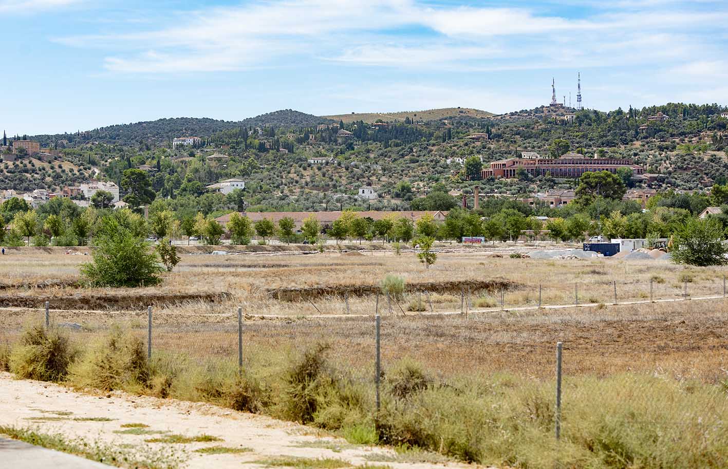 Vega Baja de Toledo