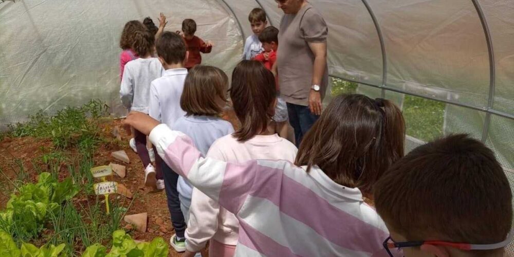 Uno de los huertos escolares ecológicos impulsados por la Diputación de Toledo.