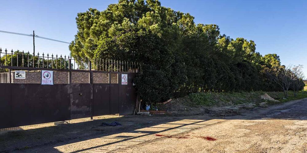 Lugar donde dos hermanos de 45 y 49 años han sido localizados esta medianoche muertos por disparos de arma de fuego en el interior de un vehículo en un camino de Casarrubios del Monte