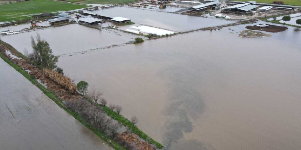 En la imagen, el arroyo desbordado y algunas de las explotaciones anegadas por el agua en Talavera la Nueva.