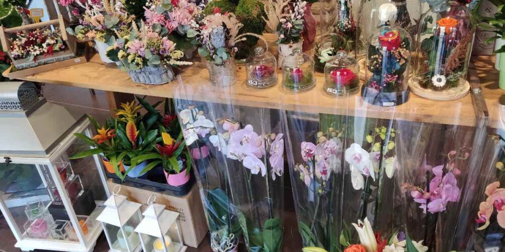 Mercado de las Flores: el escaparate más luminoso y florido.