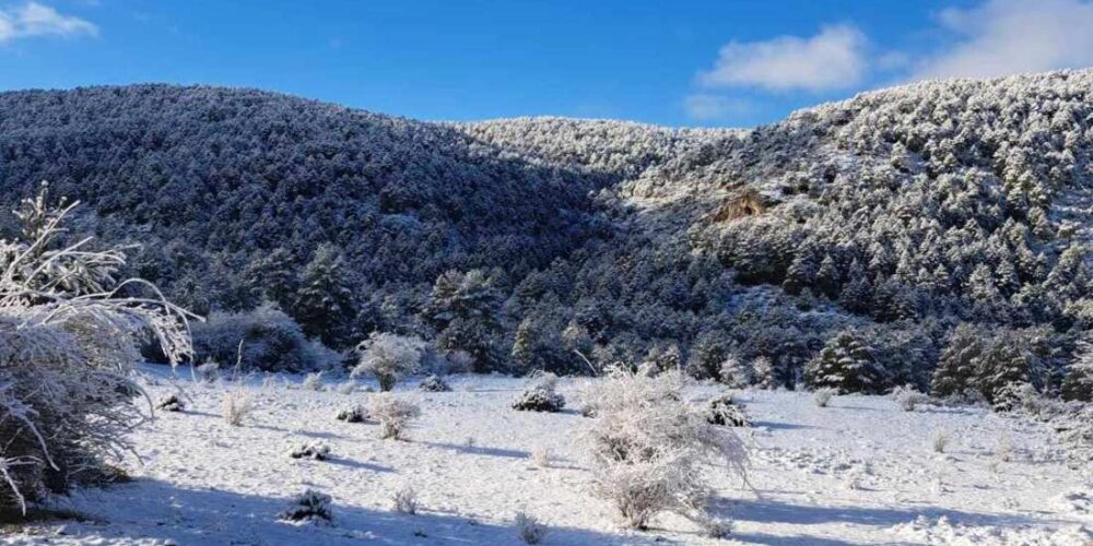 Foto de archivo de nieve en Vega del Codorno (Cuenca). Imagen: Mesón Sierra Alta.