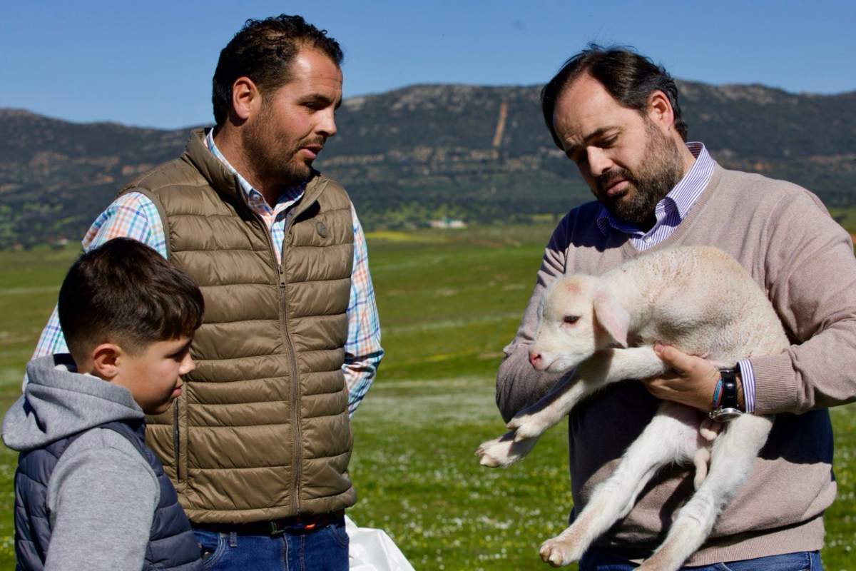 El presidente del PP de Castilla-La Mancha, Paco Núñez