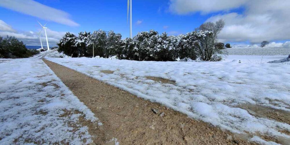 Nieve en Villalba del Rey (Cuenca) el pasado fin de semana. Foto: David Romero.