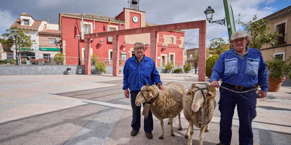 carneros-mondas-talavera