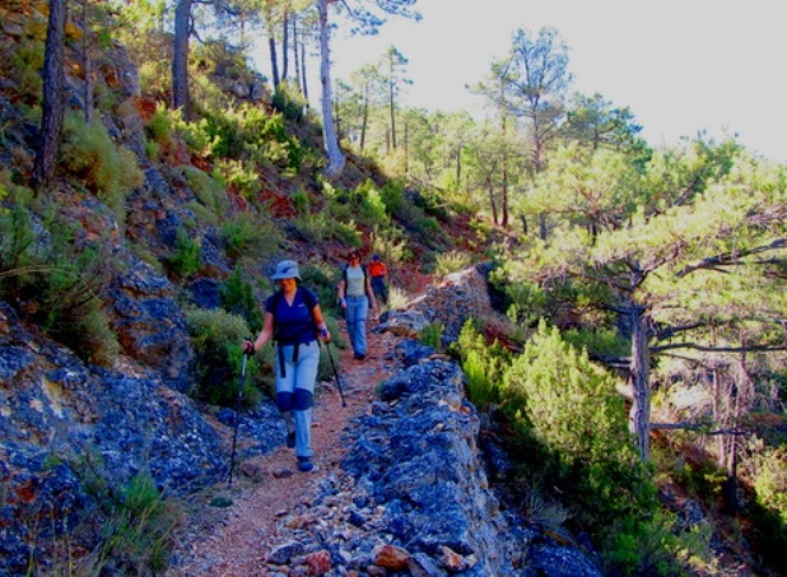 Camino Histórico Paterna-Bogarra. Imagen FEDME