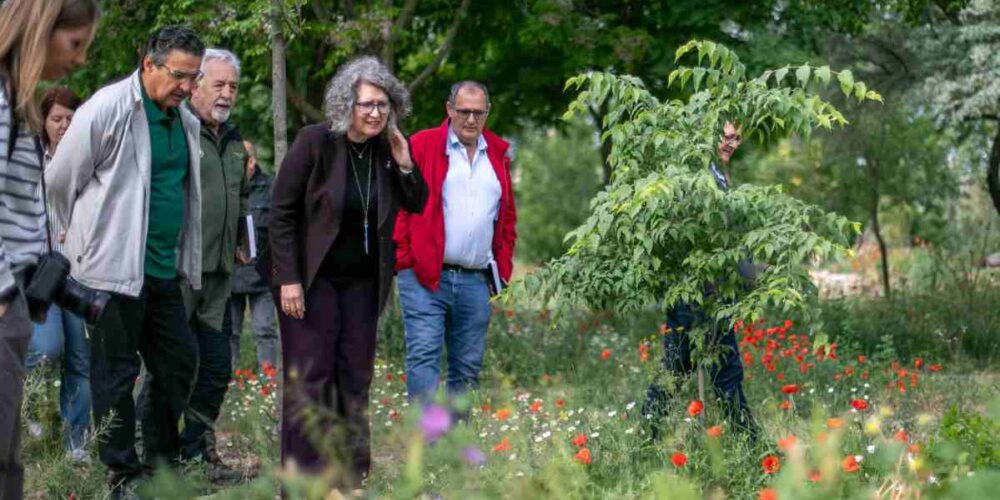 La consejera de Desarrollo Sostenible, Mercedes Gómez, visita las obras de adecuación del Vivero Central de Toledo.