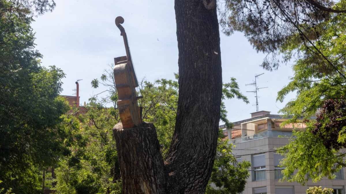 Árbol con forma de violín en Guadalajara incluido en el catálogo de árboles singulares