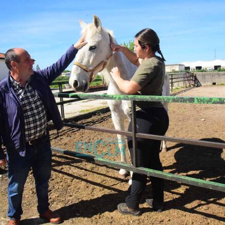 Imagen de un profesor junto a una alumna que realiza labores de cuidado de un caballo. Foto: Rebeca Arango