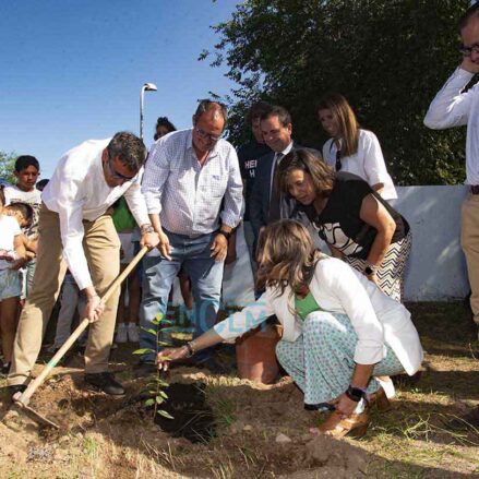 Momento en el que plantan un clon del laurel "toledano" de Bécquer. Foto: Rebeca Arango.