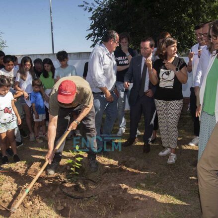 El laurel de Bécquer forma parte de un 'vivero histórico' de árboles que ya hay en Toledo. Foto: Rebeca Arango.