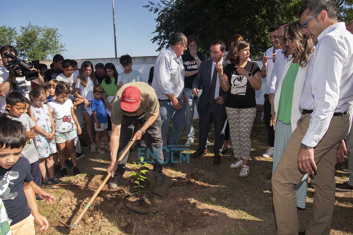 El laurel de Bécquer forma parte de un 'vivero histórico' de árboles que ya hay en Toledo. Foto: Rebeca Arango.