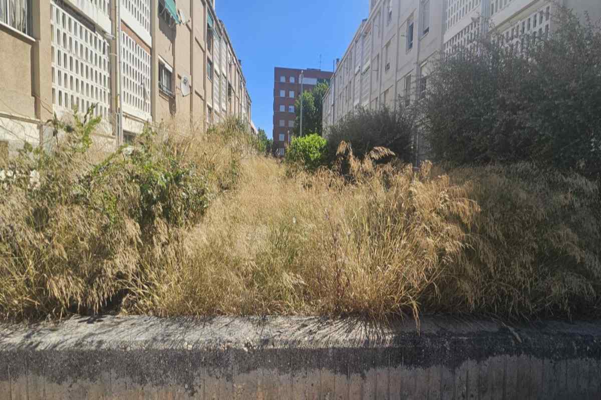 Imagen del barrio de La Rambla en Guadalajara