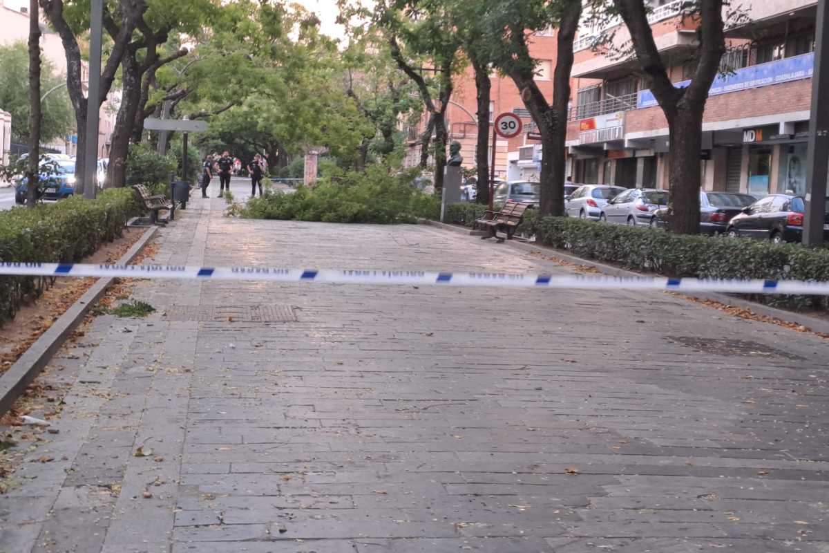 Guadalajara registra 26 incidencias por fuertes rachas de viento