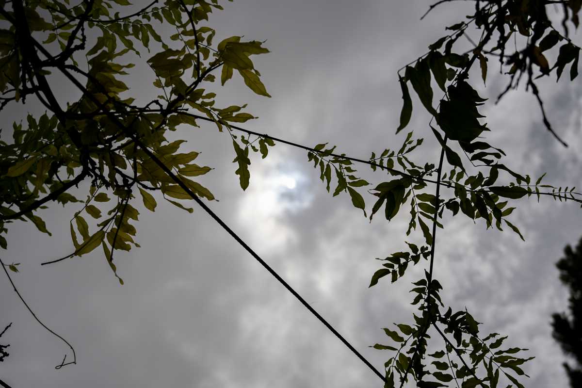 Cielo con polvo. EFE/Jesús Monroy.