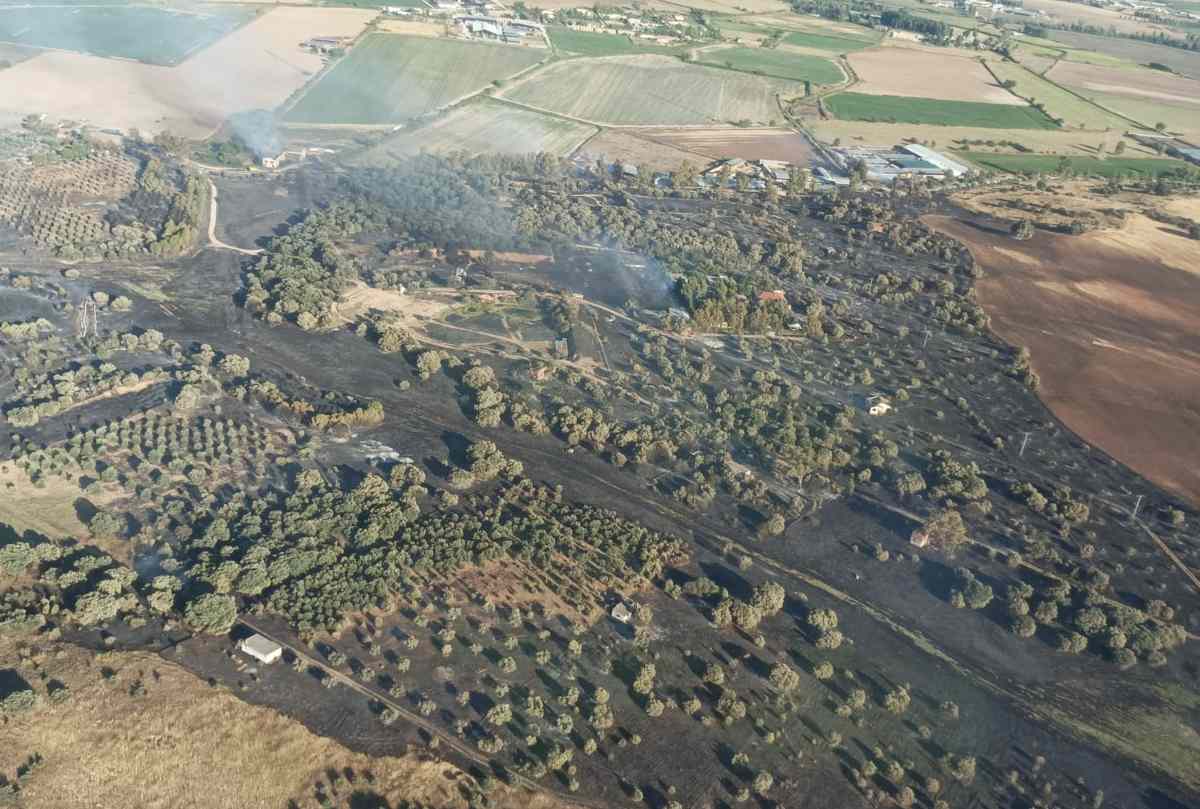 Incendio forestal en Talavera.