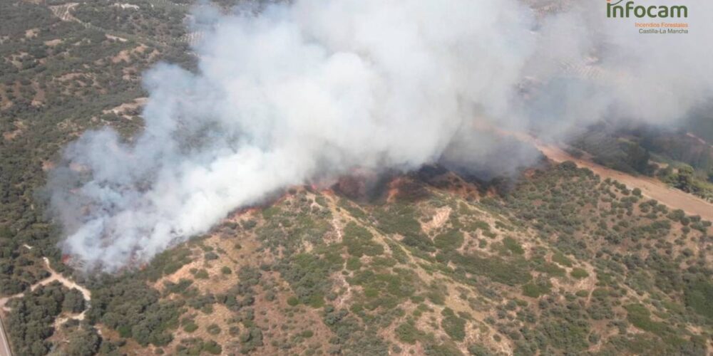 Primeras horas del incendio de Mesegar de Tajo. Foto: Infocam.