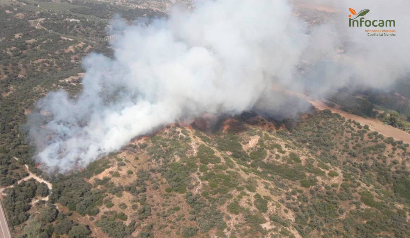 Primeras horas del incendio de Mesegar de Tajo. Foto: Infocam.