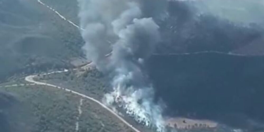 Incendio de Mingogil (Albacete), activo desde el viernes