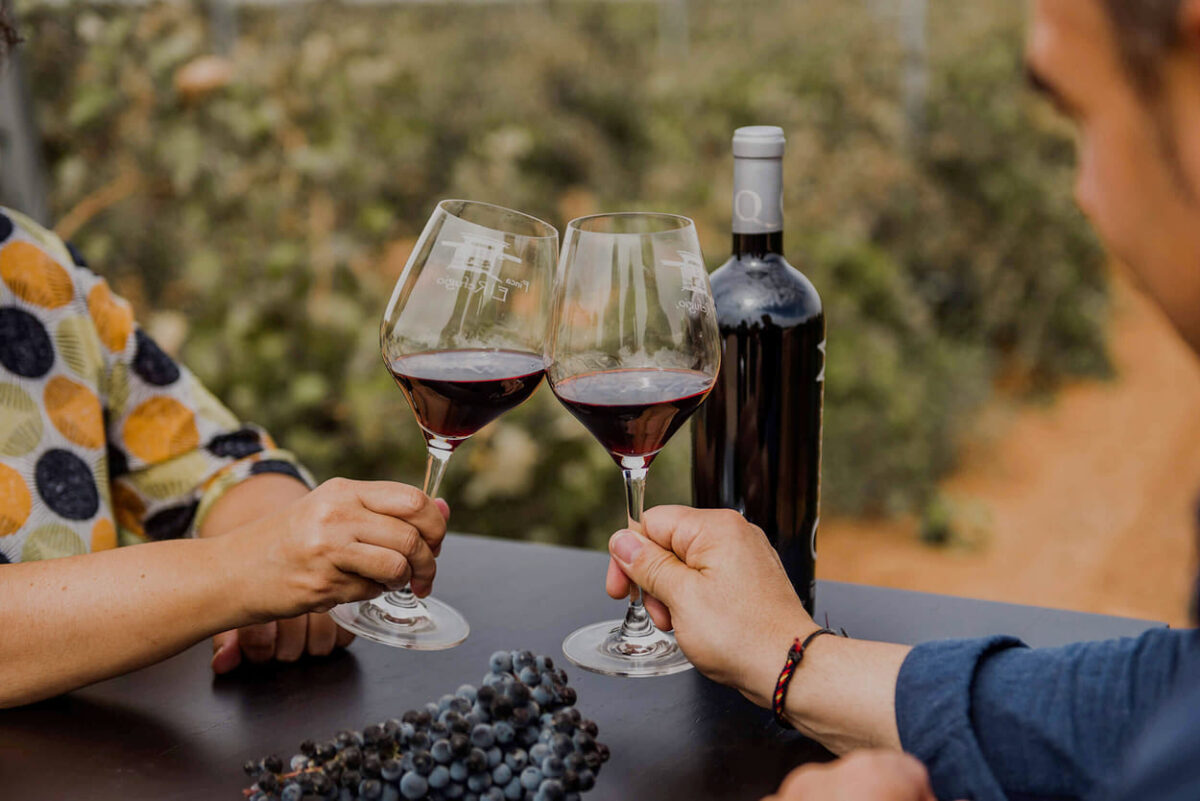 Cata de vinos en una bodega de Castilla-la Mancha