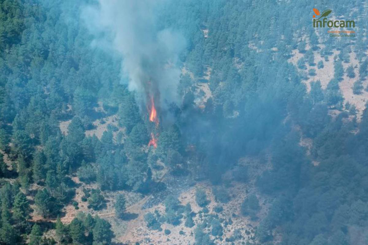 Incendio Forestal en Baños de Tajo (Guadalajara)