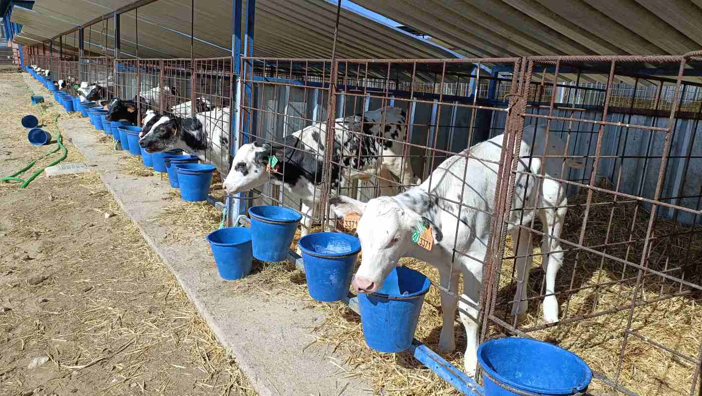 Resuelta una convocatoria de ayudas para renovar maquinaria y equipos en el campo de CLM.