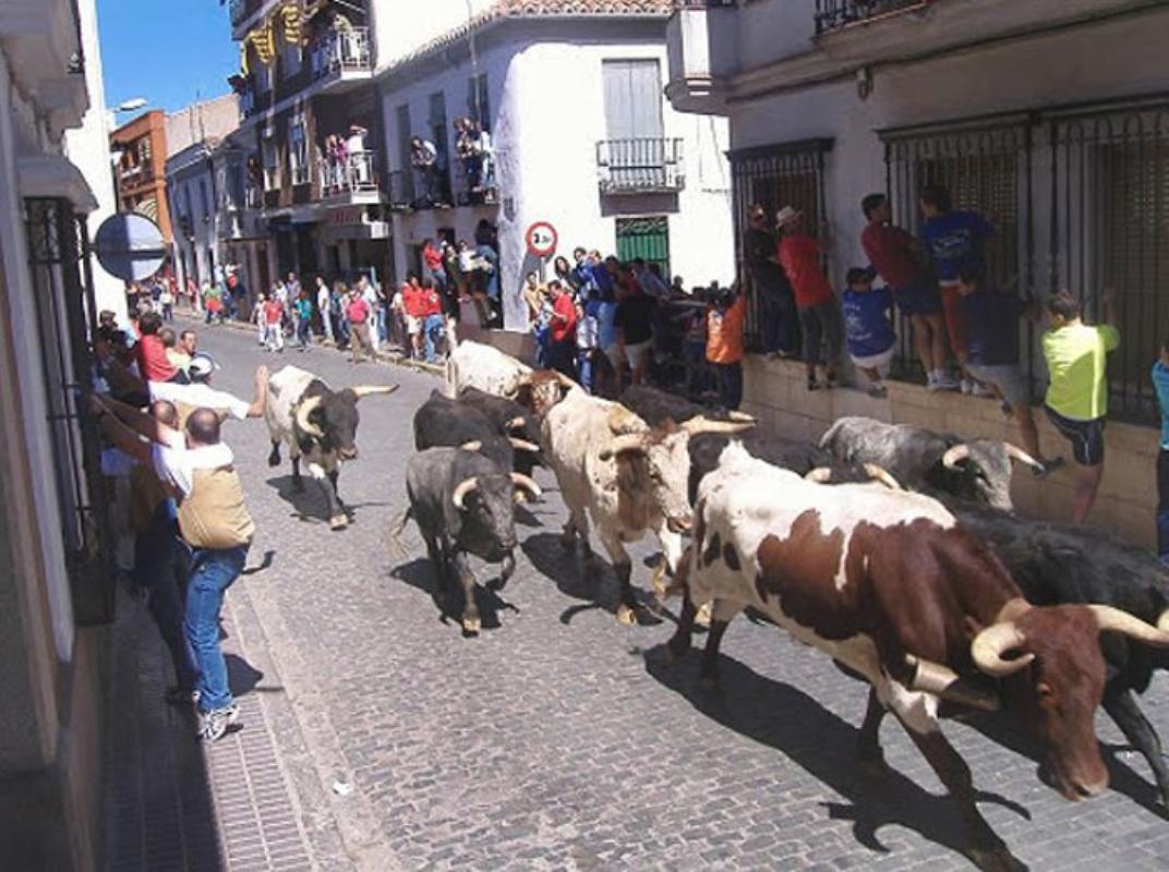 Encierros de Almodóvar del Campo. Foto: Turismo Castilla-La Mancha.