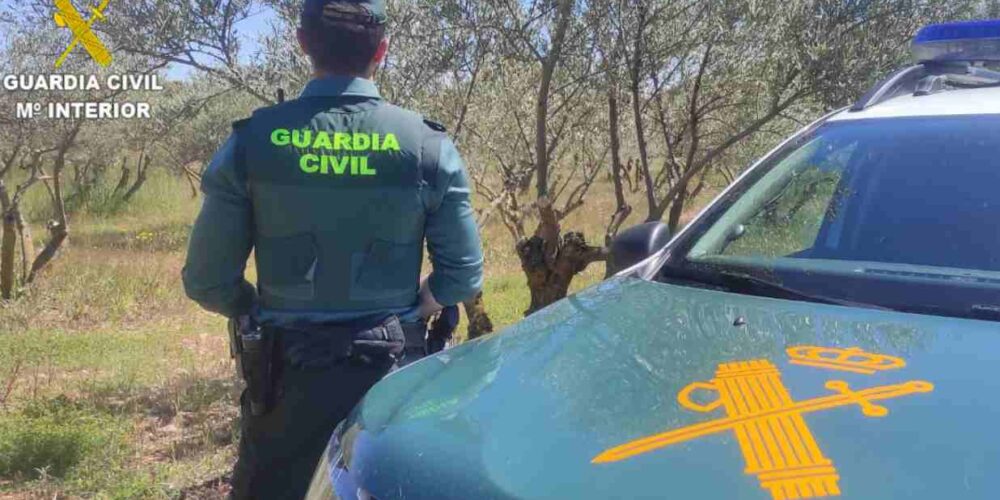 Imagen de la Guardia Civil.