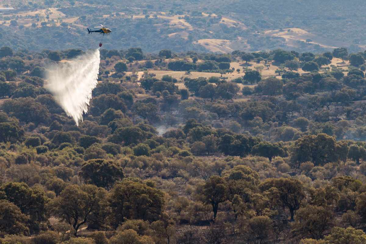 incendio, la estrella,