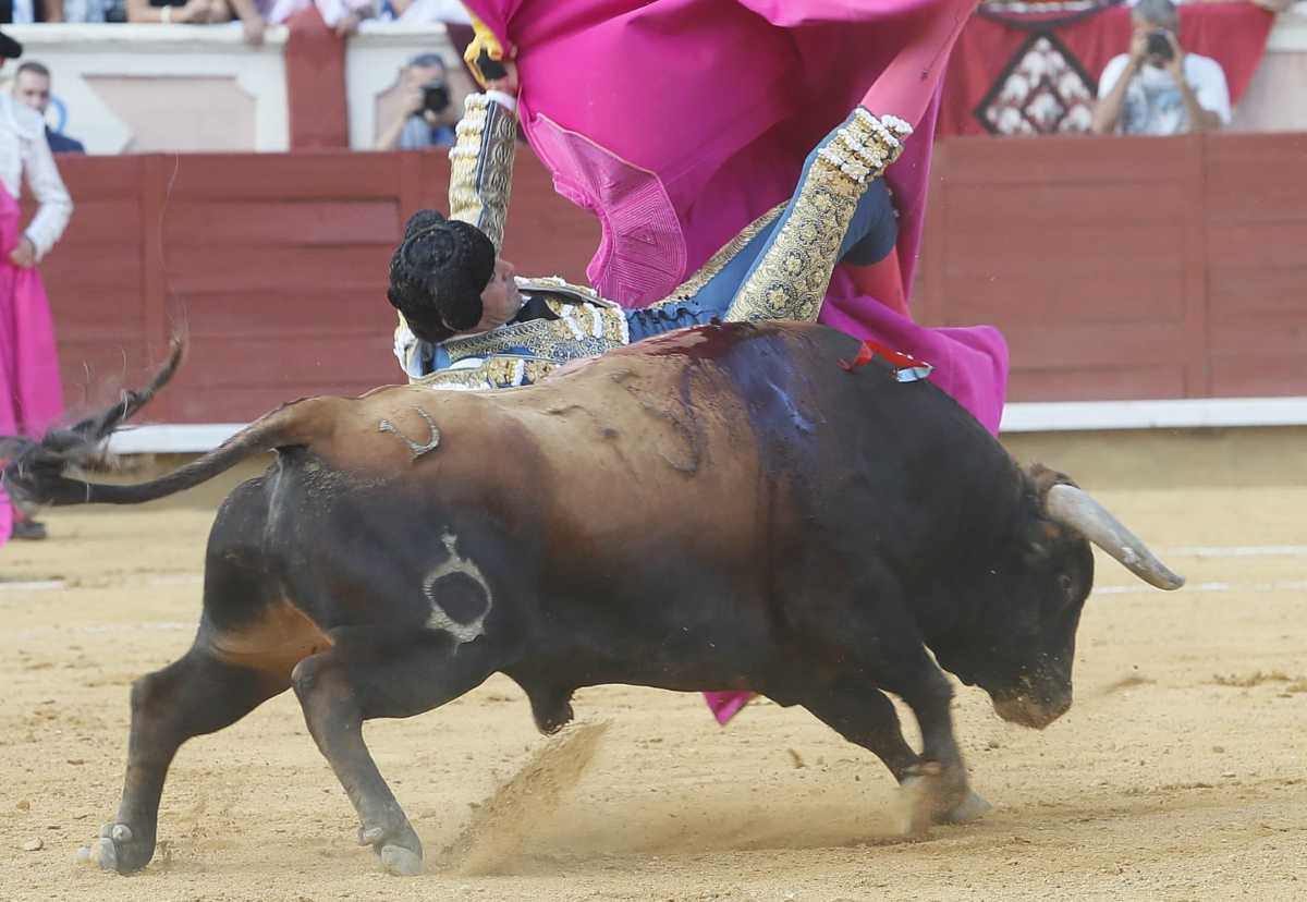 Cogida de Miguel Ángel Perera, en Cuenca.