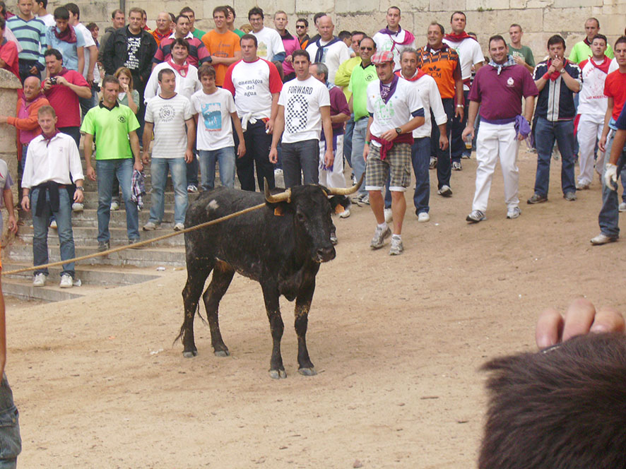 Fiesta de San Mateo de Cuenca.