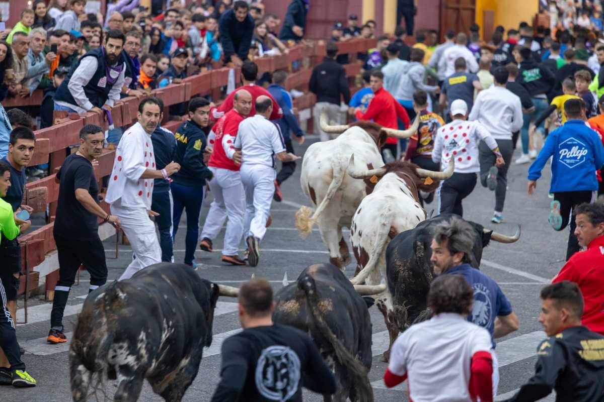 Tercer encierro de las Ferias y Fiestas de Guadalajara 2023