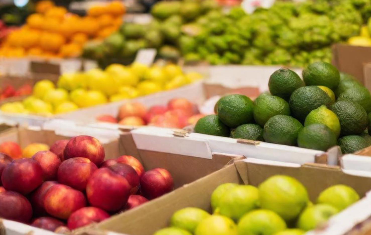 La Junta publicará la próxima semana la convocatoria del programa escolar de consumo de frutas, verduras y leche./Foto: Gobierno CLM