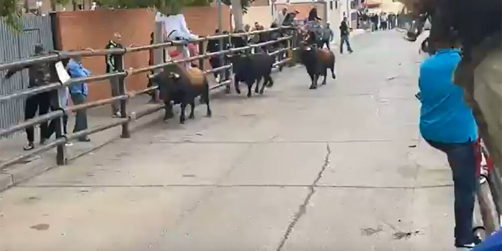 Pantalllazo de un vídeo del encierro de Pantoja.