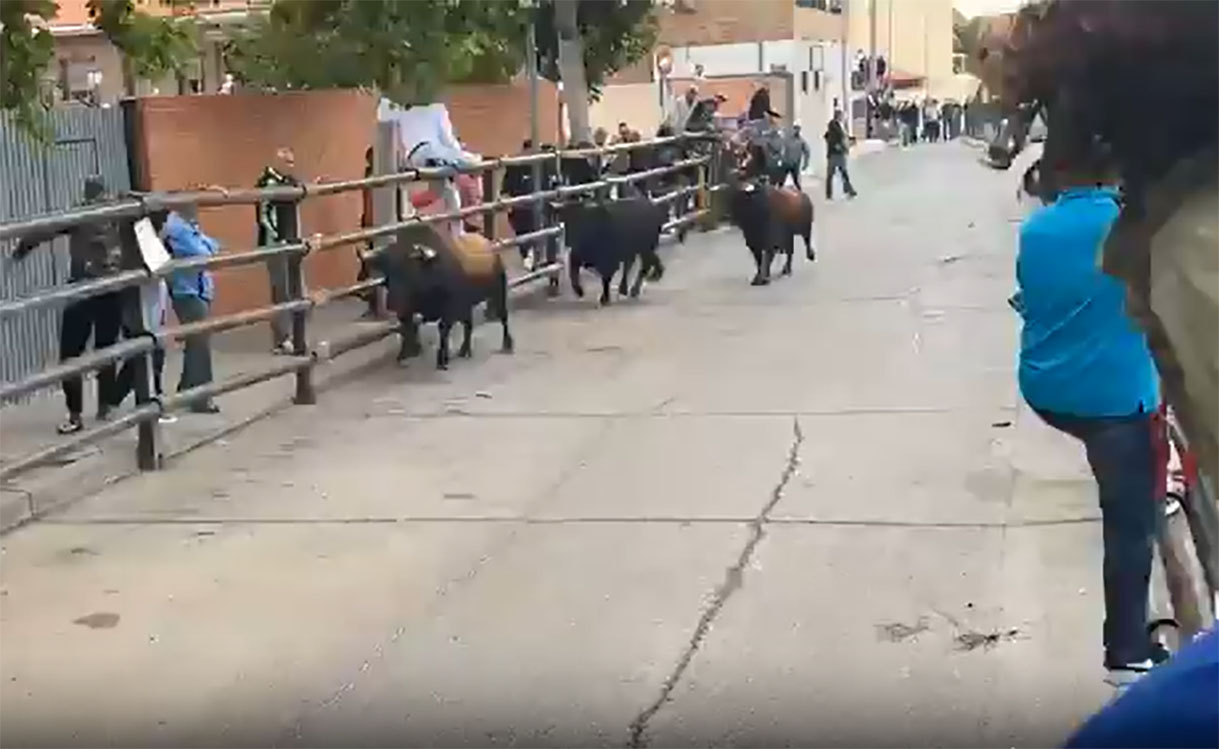 Pantalllazo de un vídeo del encierro de Pantoja.