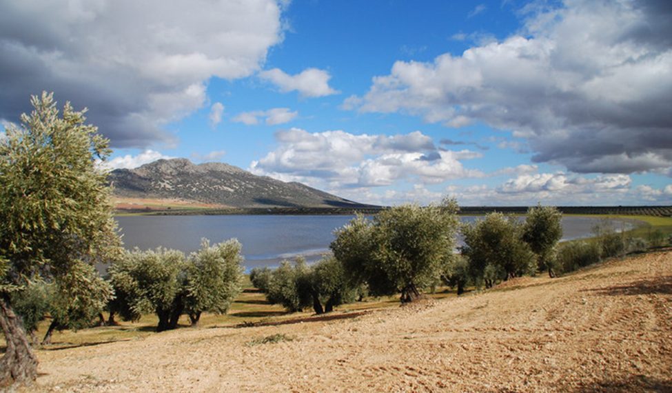 Las Navas de Malagón, al fondo, su sierra