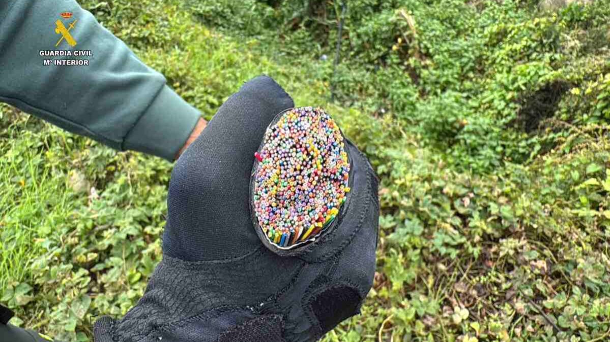 Cable de cobre oculto para su venta por los trabajadores de la empresa de Guadalajara detenidos por robo de cable de telefonía