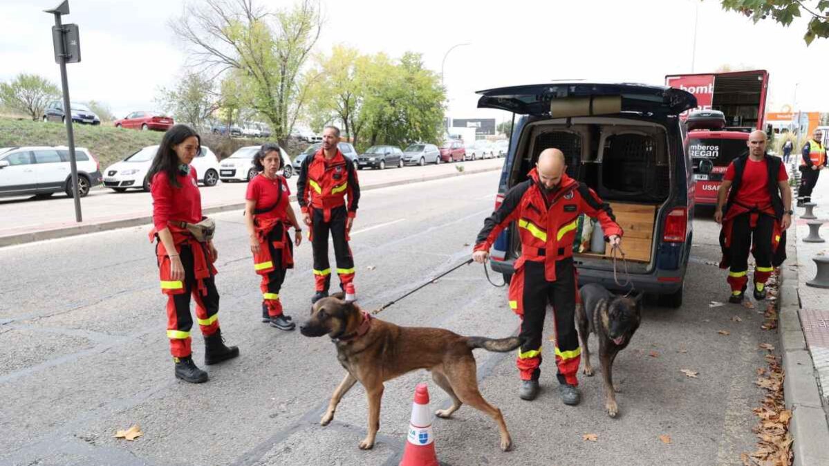 David, bombero de Guadalajara con sus perros de rescate en Valencia