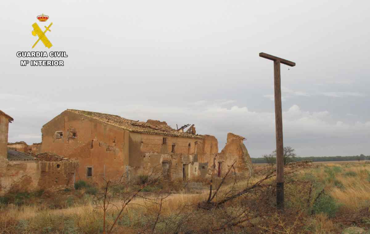 Las aves fueron localizadas en un área de conservación denominado Albacete-Barrax-La Roda