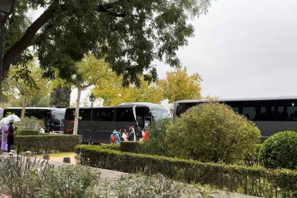 Imagen de los autobuses en el parque público de Recaredo.