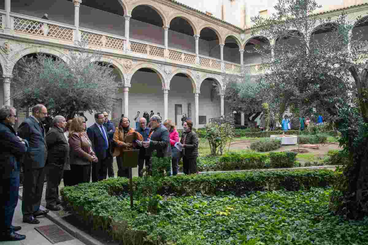 Itinerario de botánica Andalusí en el Museo de Santa Cruz. Fotos Piedad López // JCCM.